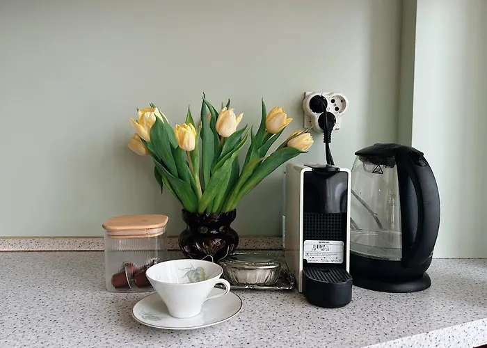 Ollio - Art Of Dorcol Βελιγράδι